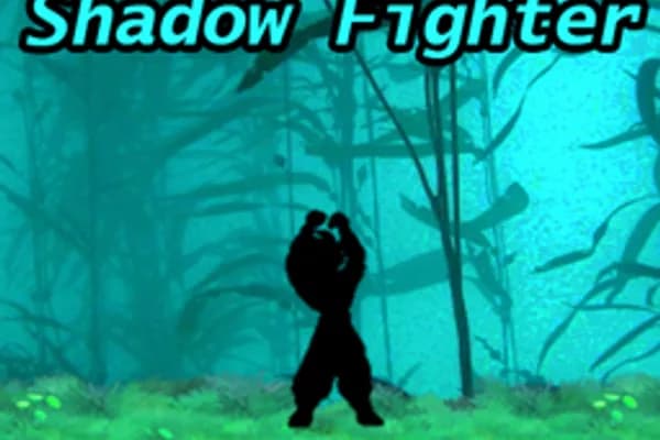 Shadow Fighter