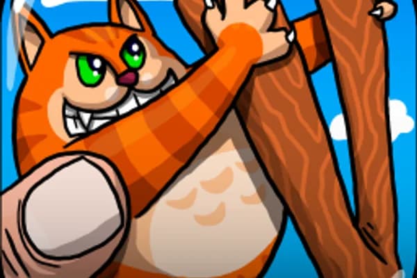 Angry Cat Shot